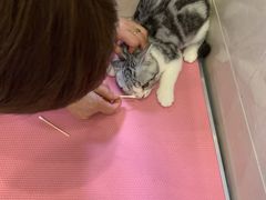 -北京观赏动物医院·24小时大型综合·猫专科·异宠专科