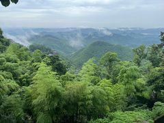 -莫干山风景区