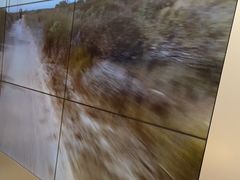 -DJI大疆(福州万象城授权体验店)