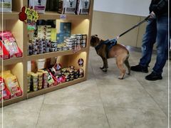 -美联众合动物医院·24h转诊中心