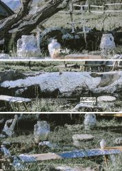 点击看大图 -米迪婚礼