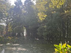 -东湖落雁景区