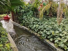 -南宫五洲植物乐园