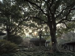 -惠山古镇·寄畅园