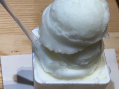 -野人先生现做冰淇淋(北京顺义祥云小镇店)
