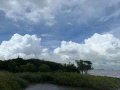 -上海吴淞炮台湾国家湿地公园