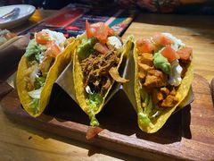 -Famous肥猫墨西哥音乐餐吧(五棵松华熙LIVE店)