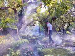 -Chom Cafe and Restaurant