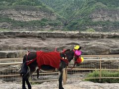 -陕西黄河壶口瀑布旅游区