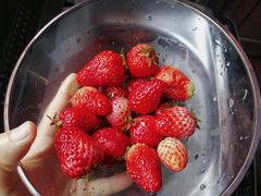 -璐坊粽王(复兴中路店)