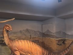 -陕西自然博物馆