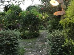 -陶缘一号·四季缘·老字号顺德菜·户外婚礼家宴(西滘店)