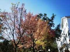 -天龙八部武侠城