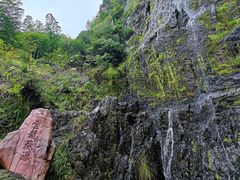 -水绘园