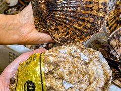 景观位-金沙滩海鲜餐厅·海肠捞饭·手工水饺(梅江龙水园店)