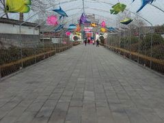 android_upload_pic-杨家埠民间艺术大观园