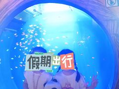 -华夏文旅海洋公园