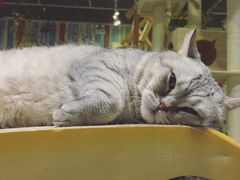 -小时光咖啡馆(开森度假森林店)