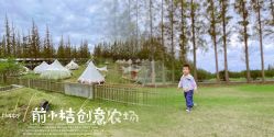 -前小桔亲子创意农场·草莓采摘·露营烧烤