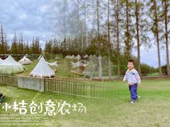 -前小桔亲子创意农场·草莓采摘·露营烧烤