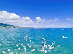 -青海湖国家重点风景名胜区