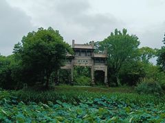 -西溪国家湿地公园