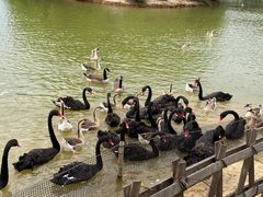 -艾溪湖湿地公园