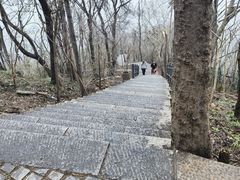 -紫金山山顶公园