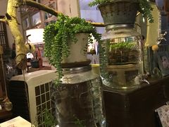 -懒鱼时光馆(沙坪坝店)