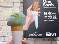 燕麦地球-Dal Cuore 达可芮冰淇淋(陕西北路店)