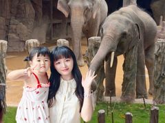 -长鹿旅游休博园