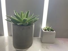 -猫王榴莲世家(三里屯SOHO商场店)