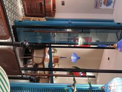 大堂-南越郡·越式风味餐厅(青秀万达店)