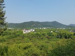 -香雪海