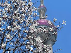 -东方明珠广播电视塔