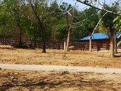 -石家庄市动物园