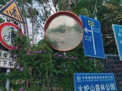 -火炉山森林公园