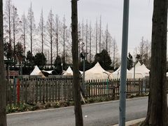 -前小桔亲子创意农场·草莓采摘·露营烧烤