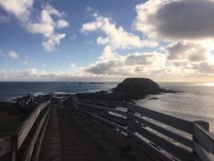 -企鹅岛