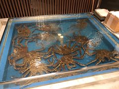 -蟹将军·松叶蟹和牛日料放题自助(K11店)