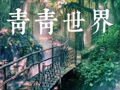 -青青世界