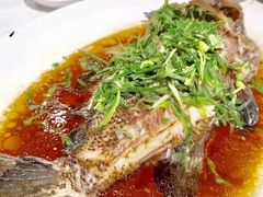 -金唐海鲜酒家