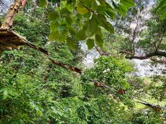-芦仙山景区-飞越丛林探险乐园
