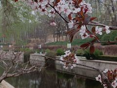 -元大都城垣遗址公园