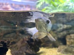 -上海海洋水族馆