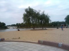 人工沙滩-大兴滨河森林公园
