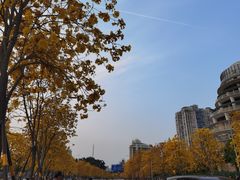 -洲头咀公园