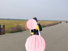 -敕勒川草原