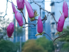 -钱塘江