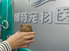 -博特宠物医院24h犬猫全科.骨科·异宠
